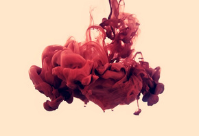 ����, �������, disastro ecologico, alberto seveso