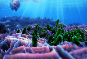 ���, �������, ����