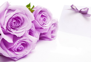 ����, �����, ���