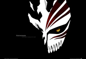 �����, ����, ����� �������