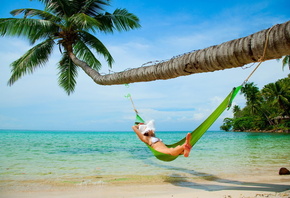 ����������, �����, ������, ����