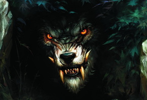 �����, ���������, ����, ����