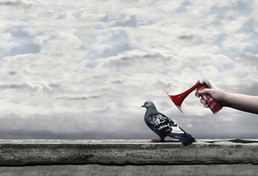 ������, �������, ����, ����, ������