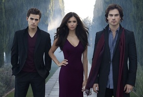 the vampire diaries,  , stefan, damon, elena