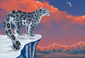  , , , , , snow leopard, 