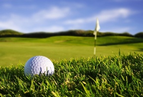 sport wallpapers, grass,   , , , macro, , golf,  ...