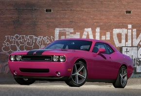 srt8, pink, challenger, Dodge