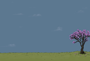 ����, ������, ����