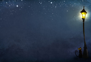 �����, ������, ����