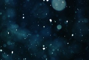 ������� �����, �����, �������, ����