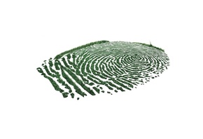 ������, �����, ���������, ���