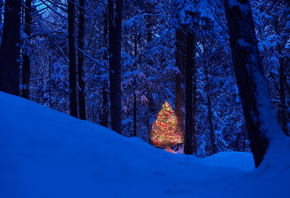 ����, ����� ���, ���