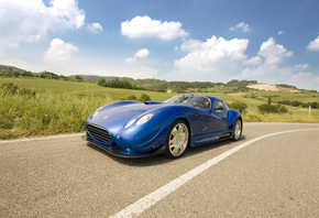 ��������, ������, ������, Faralli & mazzati antas v8 gt