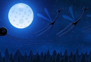 ������, ����� ���, ����