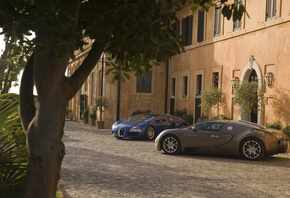 ���, Bugatti veyron, ������, ����