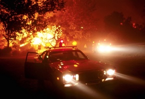 ����, 151, ����, �������