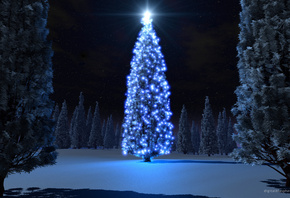 ����, ����, ��������