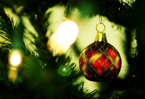 �������, ����, ���, ����, ������, ����� ���, ����������, ��������, ����, ��������