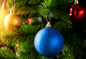 ���������, ����, ����, ����, ��������