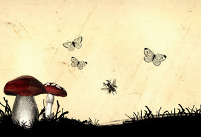 �����, ���������, �������