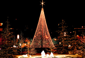 ����, ����, new year