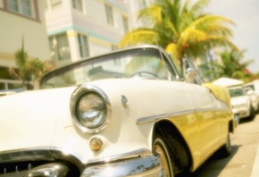 �����, ������, ������