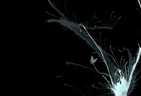 ������, ������, ������