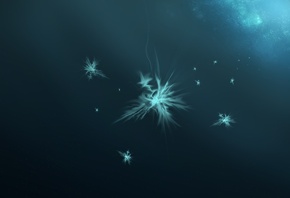 ��������, ��������, Galeor