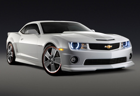 ����, ������