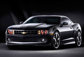 �������, ����