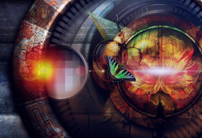 ����, ����, �������