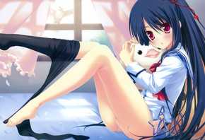 �������, �����, ��������, ������, �������