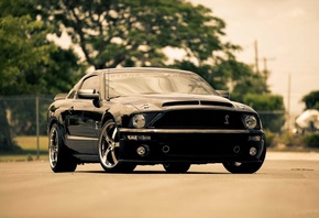 gt, mustang,  , black, Ford