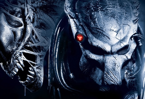 , , Aliens vs predator