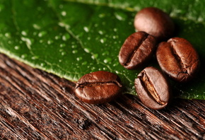 Кофе, зерна, макро, leaf, beans, лист, coffee, macro