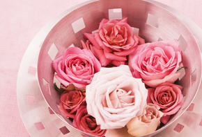 �����, ����, ��������