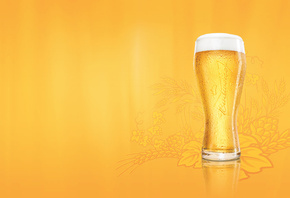 ����, ����, budweiser, ������