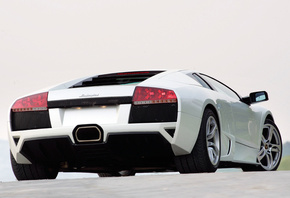 , , murcielago, Lamborghini