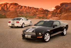 , , , Shelby gt