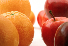 ���������, �����, ������