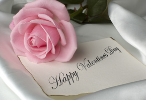 flowers, happy valentines day, pink, pink rose, pretty, romance, romantic, rose, valentines day, with love, ,    , ,  , , ,   ,  