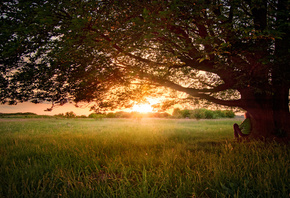 ����, ������, ����, ������, �������, �����