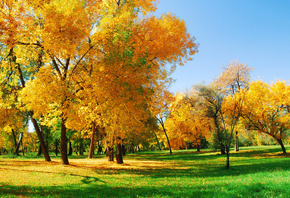 �������, �����, ���, �������, ��������� ����