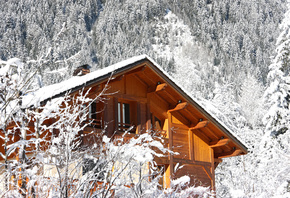 �����, �����������, �����, ���, ������ ���, ����