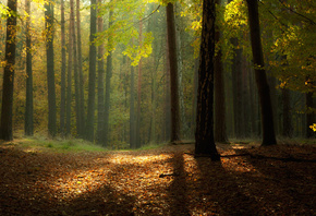 �������, ���, ������, �����