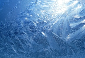 ����, ����, ������, ����