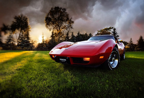 ����, �����, ����