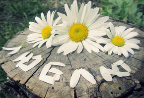 �����, �������, ������, �������