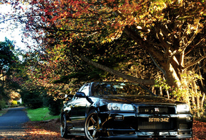 �������, �����