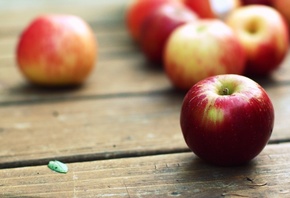 �����, ��������, ����, ������, ����, ������, wallpapers